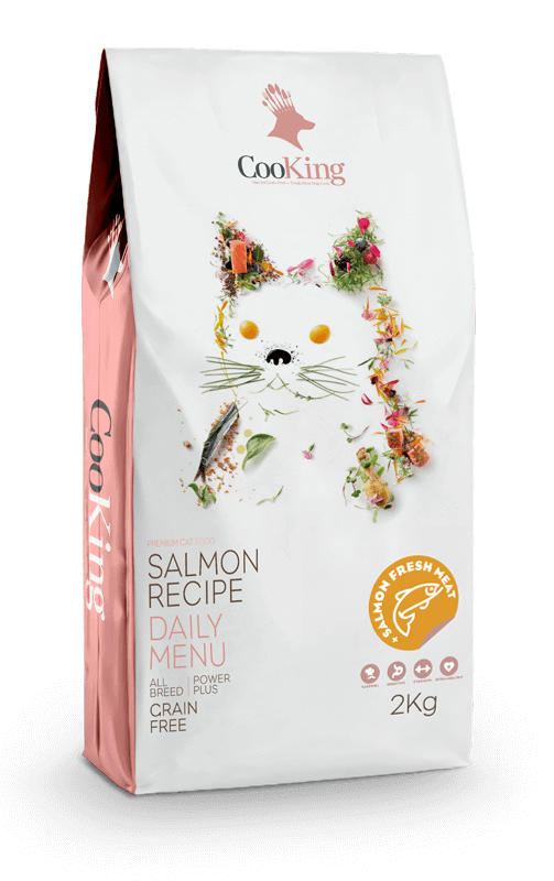 Salmon Recipe Gato Cooking