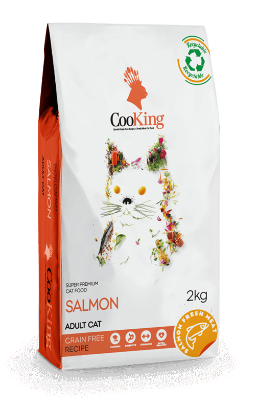 Salmon Recipe Gato Cooking
